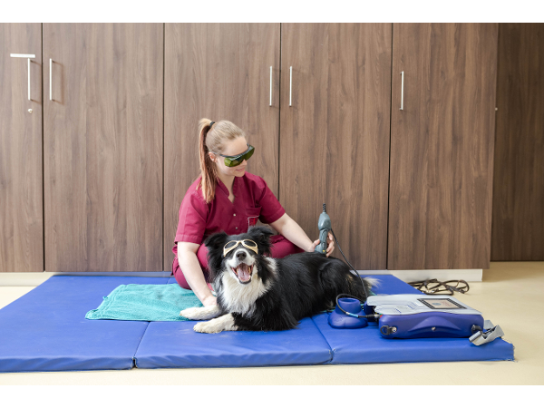 Bild 6 von Tierklinik Sattledt