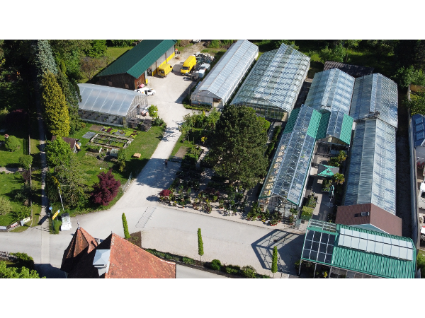 Bild 4 von Käfer KG - Gärtnerei und Floristik