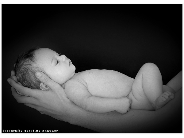 Bild 46 von Fotografie Caroline Knauder