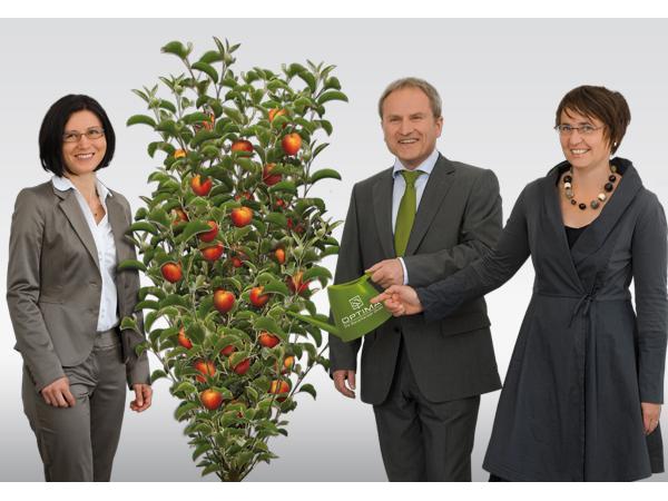 Bild 1 von OPTIMA Die Steuerberater GmbH