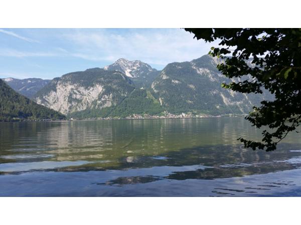 Bild 8 von Gasthof Höllwirt