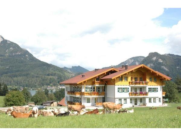 Bild 2 von Apart-Pension Wesenauerhof