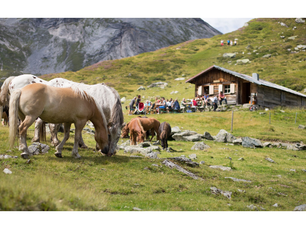 Bild 7 von Seiterhof