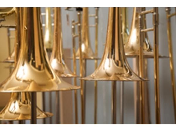 Bild 14 von Danner Musikinstrumente & Meisterwerkstatt GmbH
