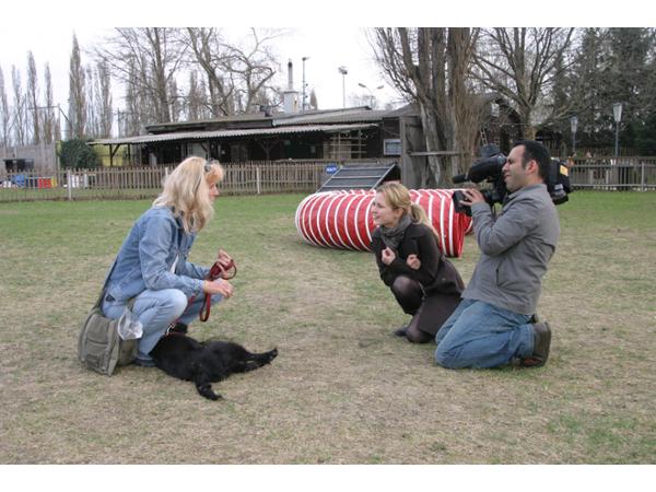 Bild 4 von Wiener Hundeschule