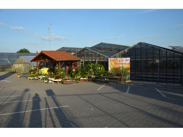 Bild 1 von Gärtnerei Fries - Die Blumenoase
