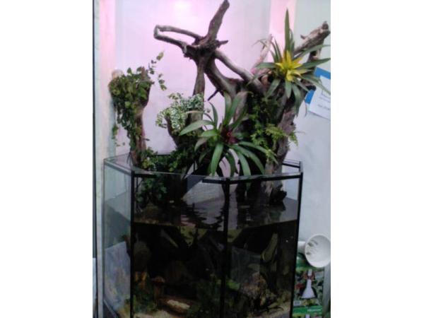 Bild 8 von Aquarium Doc