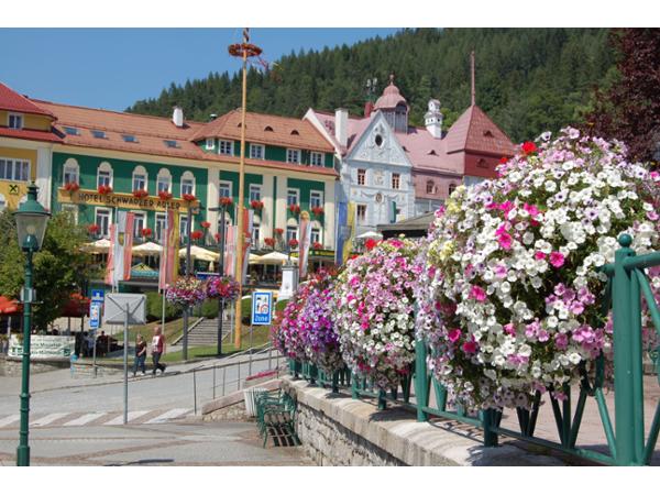 Bild 3 von Plantscape Österreich