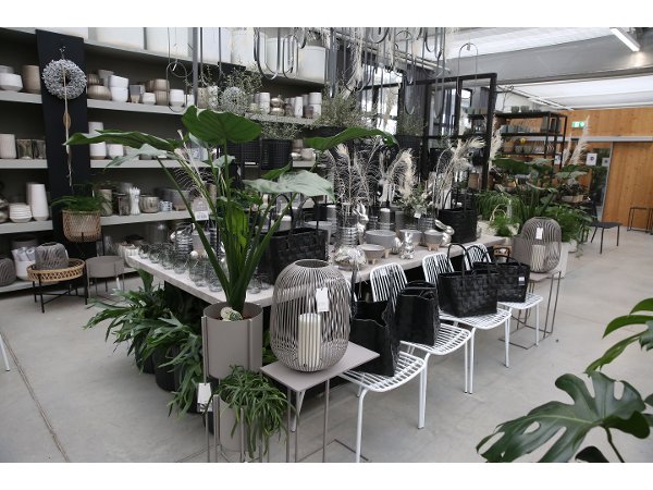 Bild 4 von Rosen Waibel Handels GmbH