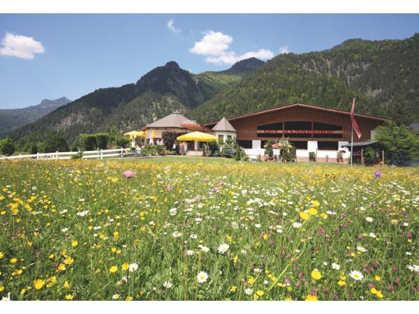 Bild 2 von Gut Hanneshof Geschwister Unterrainer