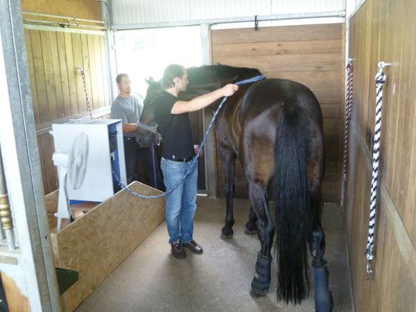 Bild 1 von Reitanlage Krizek