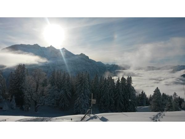 Bild 3 von Appartementhaus - Wieden