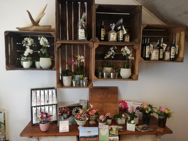 Bild 12 von blumenzeit - Anneliese Mahl