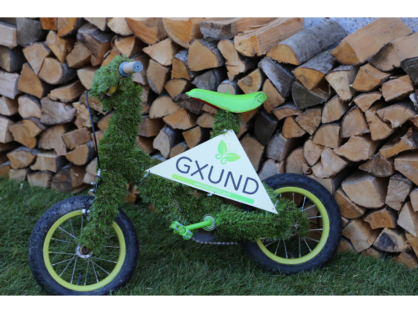 Bild 2 von Gxund St. Johann