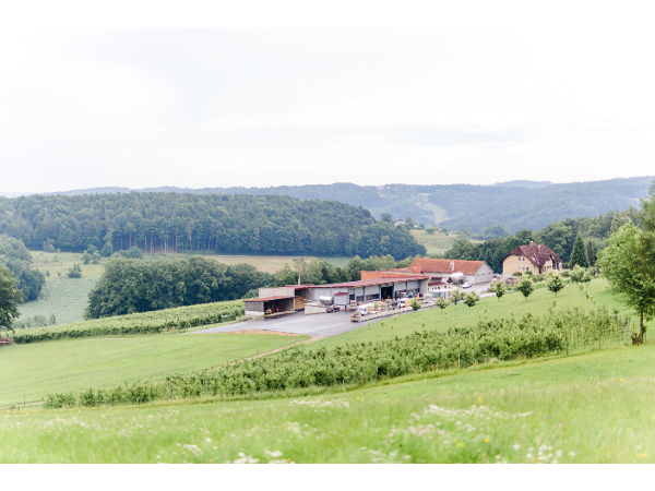 Bild 3 von Bio Fruchtsäfte Kochauf