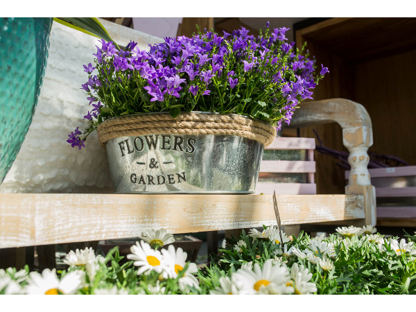 Bild 11 von PENZO Flora Flötzersteig GmbH
