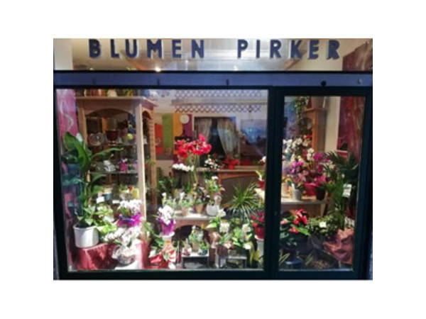 Bild 6 von Blumen Pirker