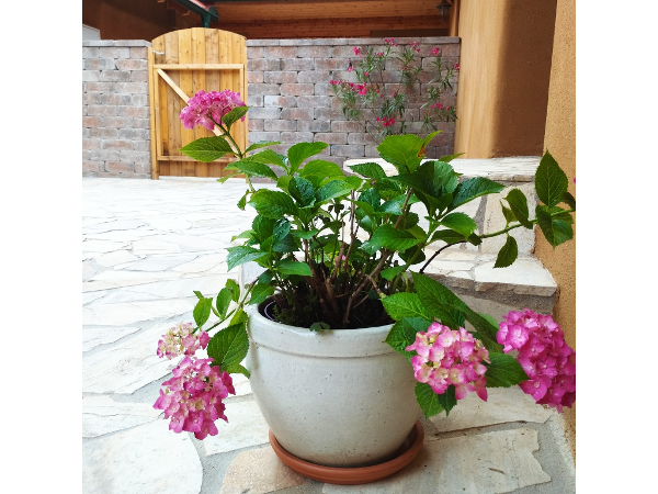 Bild 5 von LebensWelten | Yoga CranioShiatsu Klang