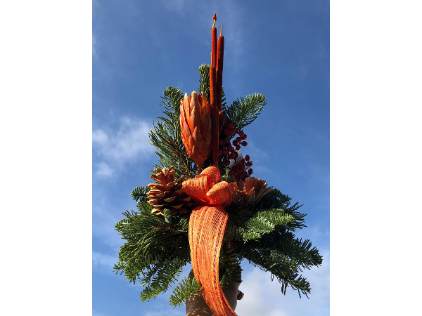 Bild 131 von Gartenbau-Blumen Helmut Friedl
