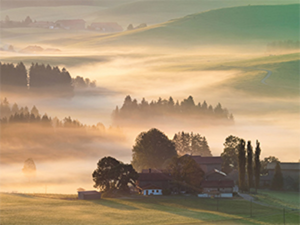 Bild 1 von Rhomberg M. Brennstoffe GmbH