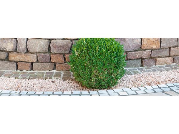 Bild 5 von RP-Pflasterprofi GmbH