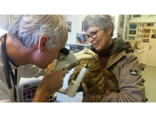 Bild 10 von Tierambulatorium Schramm Herbert Dr Magvetmed Magrernat - Tierarzt und Biologe (Zoologe)
