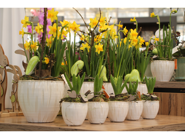 Bild 144 von Gartenbau-Blumen Helmut Friedl