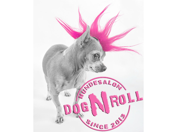 Bild 1 von Hundesalon Dog'n Roll - Kathrin Ebermann