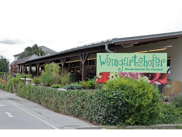 Bild 5 von Blumen Weingartshofer GesmbH