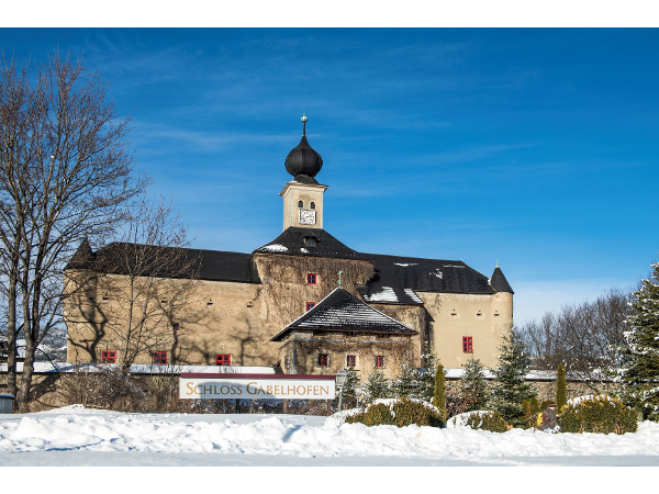 Bild 47 von Hotel Schloß Gabelhofen