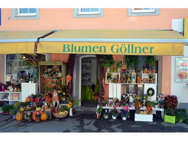 Bild 5 von Blumen Göllner