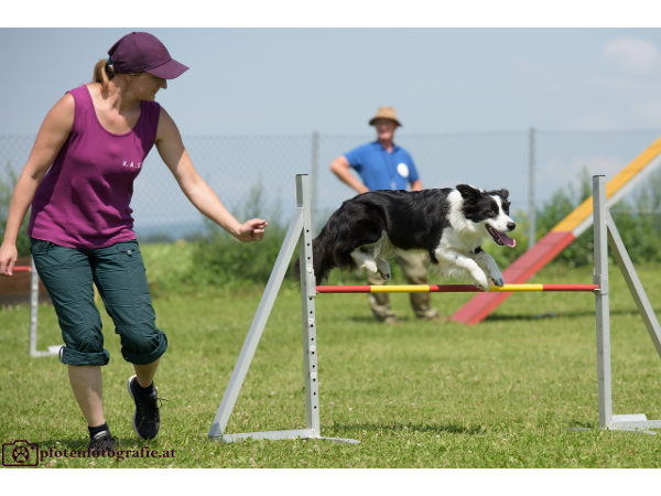 Bild 4 von Hundeschule V.A.S.Z.-Mistelbach