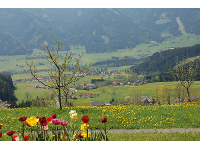 Gemeindeamt der Gemeinde Gaal