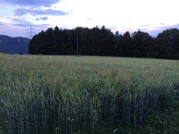 Bild 10 von Ferienwohnung Drobesch