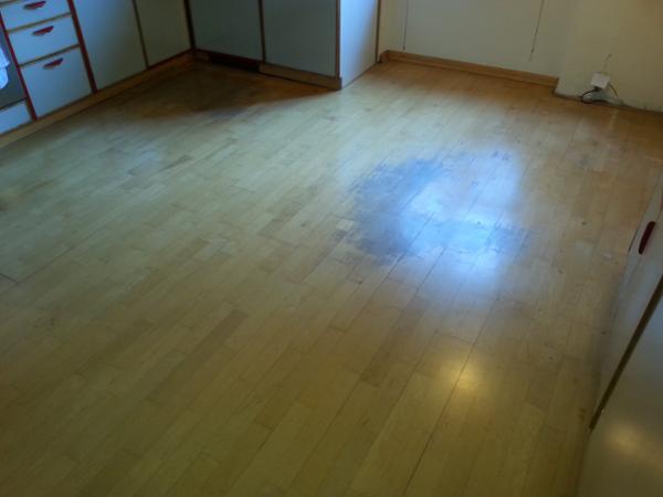 Bild 23 von Bodenschleifen Priller Oskar