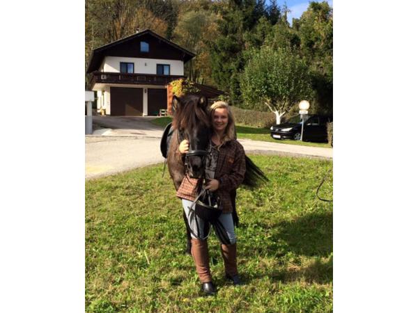 Bild 3 von Islandpferdereithof Burghauser