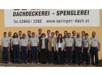 Springer GmbH