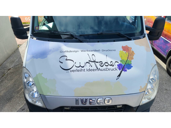 Bild 15 von Buntfeder