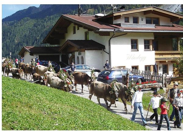 Bild 12 von Pension Windegg