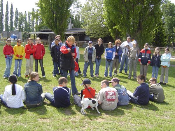 Bild 8 von Wiener Hundeschule