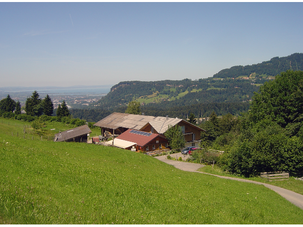 Bild 7 von Jausenstation Steurerhof Moststüble