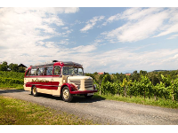 Zottler Mietwagen und Transporte GmbH