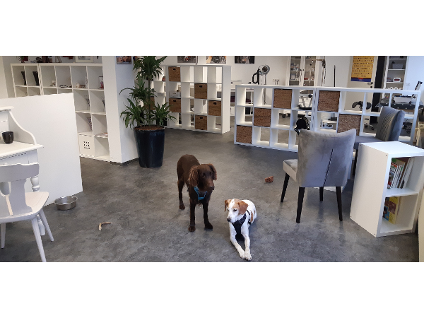 Bild 1 von Hunde-Atelier Simi (Cut & More) Simone Ötzbrugger