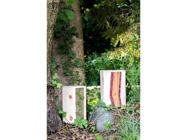 Bild 4 von edelzweig OG