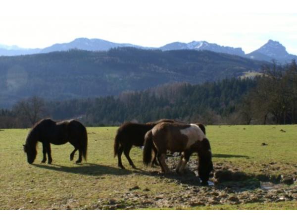 Bild 3 von Handwerkmacher Kronberger
