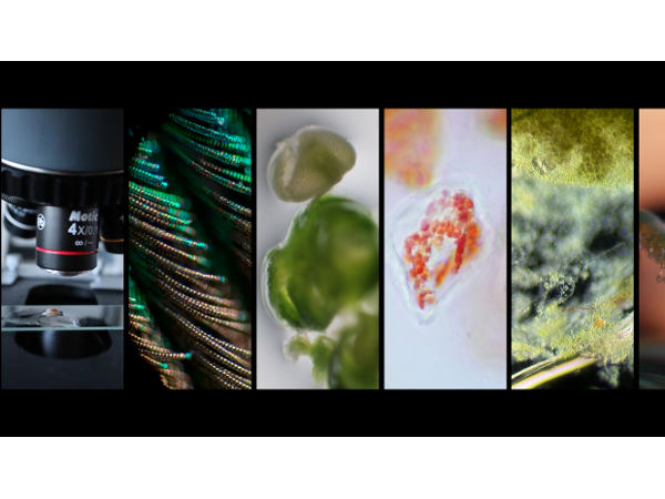 Bild 1 von MicroMuse Studios e.U.