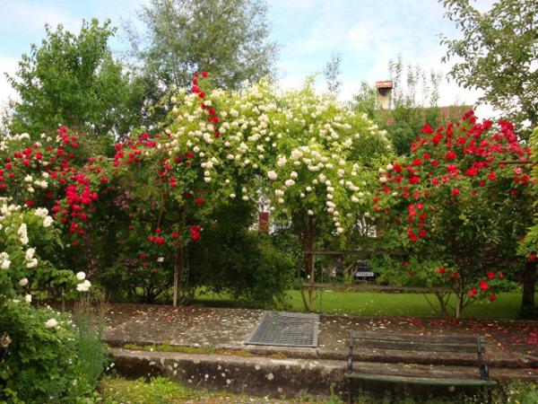 Bild 2 von Freihof Sulz