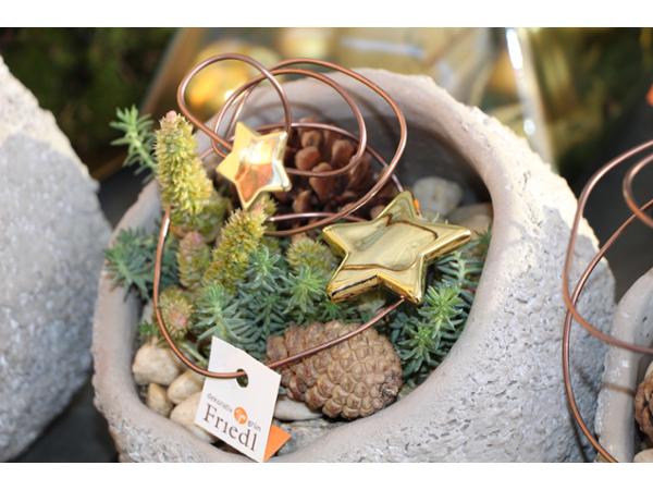 Bild 17 von Gartenbau-Blumen Helmut Friedl