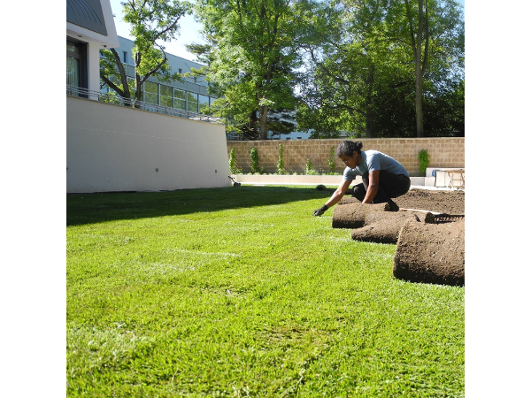 Bild 4 von PFLANZ! garten & freiraum