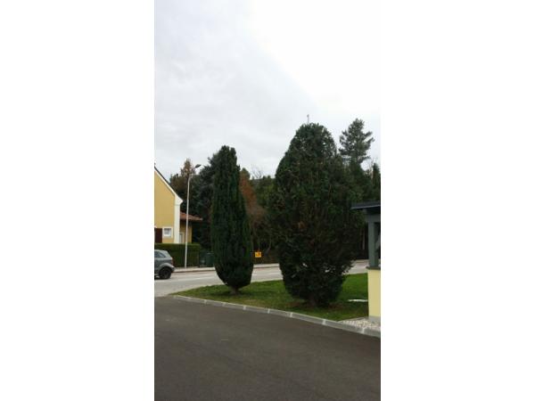 Bild 22 von Dobler's Hausservice